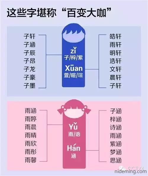 起名